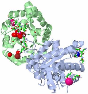 Image Asym./Biol. Unit - sites