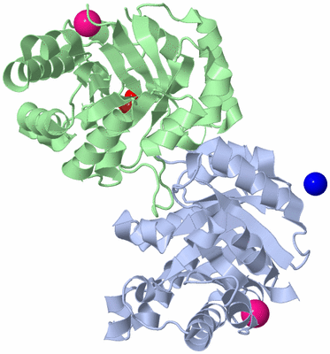 Image Asym./Biol. Unit