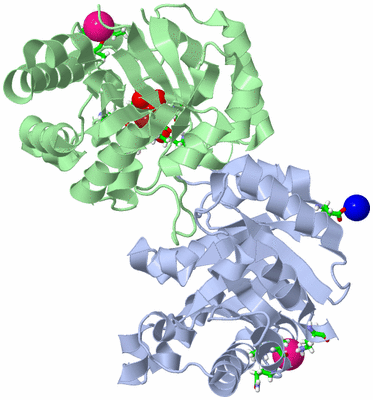 Image Asym./Biol. Unit - sites