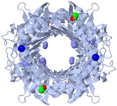 Image Biological Unit 1