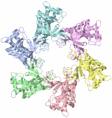 Image Asym./Biol. Unit