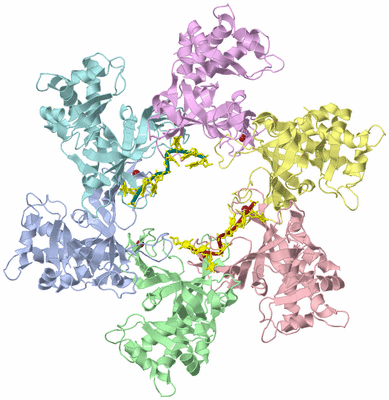 Image Biological Unit 1