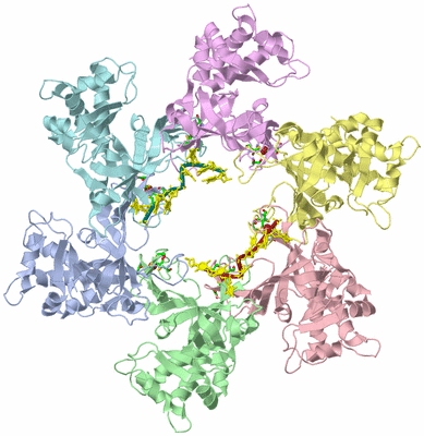 Image Biol. Unit 1 - sites