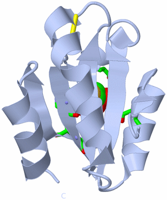 Image Biol. Unit 1 - sites