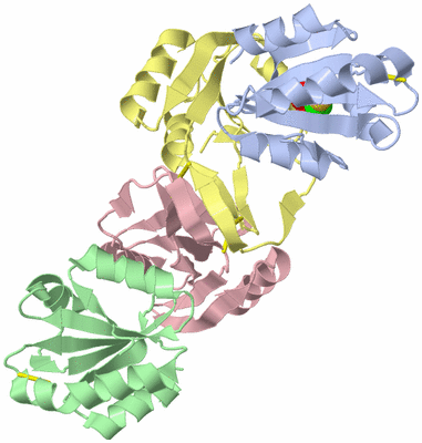 Image Biological Unit 5