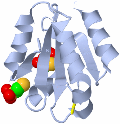 Image Biological Unit 1