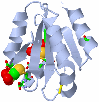 Image Biol. Unit 1 - sites