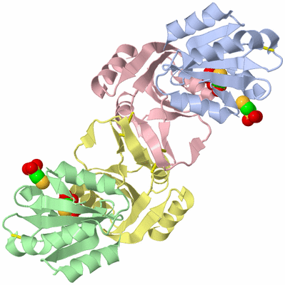 Image Biological Unit 5