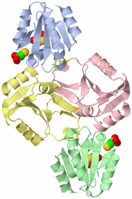 Image Biological Unit 6