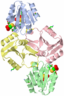 Image Asym. Unit - sites