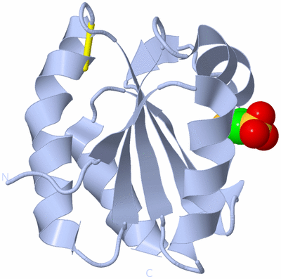 Image Biological Unit 1