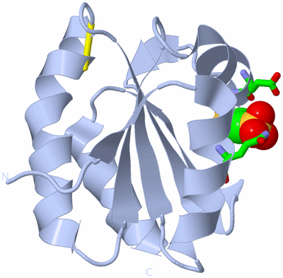 Image Biol. Unit 1 - sites