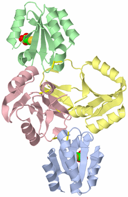 Image Biological Unit 5