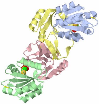 Image Biological Unit 6