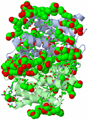 Image Asym. Unit - sites