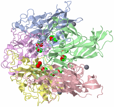 Image Biological Unit 1