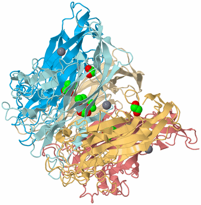 Image Biological Unit 2