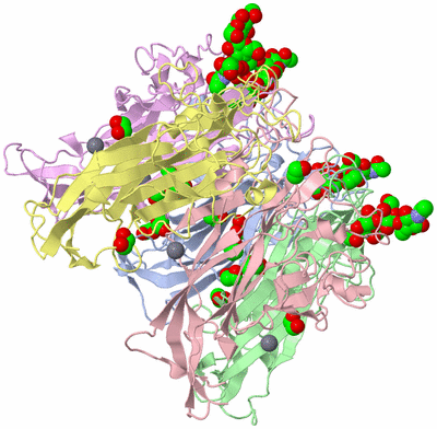 Image Biological Unit 1