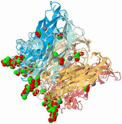 Image Biological Unit 2