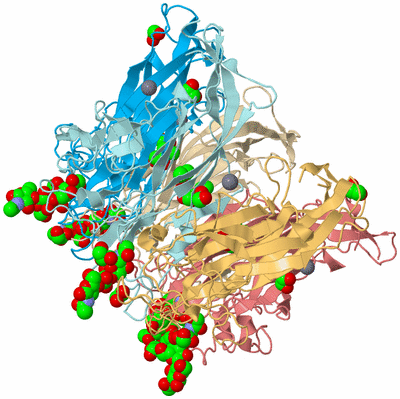 Image Biological Unit 2