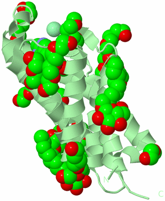 Image Biological Unit 2