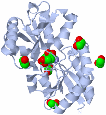 Image Biological Unit 1