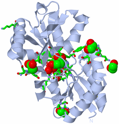 Image Biol. Unit 1 - sites