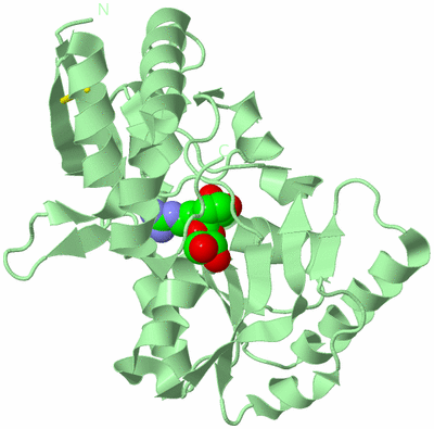 Image Biological Unit 2