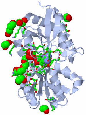 Image Biol. Unit 1 - sites