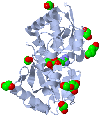 Image Biological Unit 1