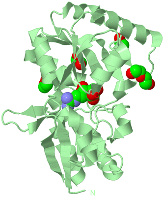 Image Biological Unit 2