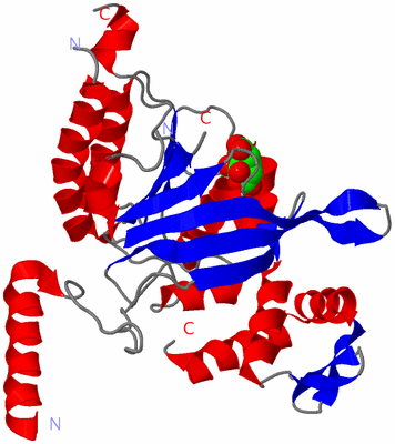 Image Asym./Biol. Unit