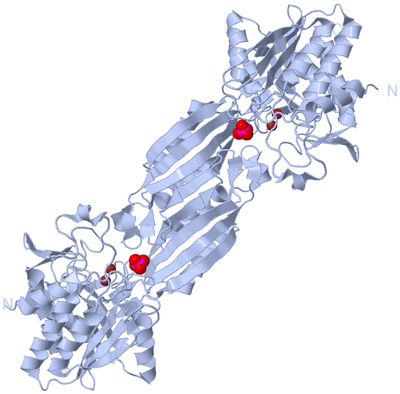 Image Biological Unit 1