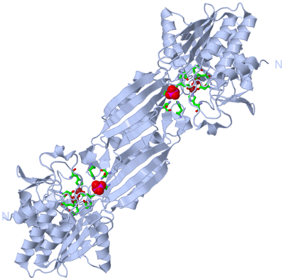 Image Biol. Unit 1 - sites