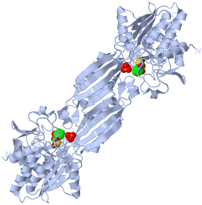 Image Biological Unit 1