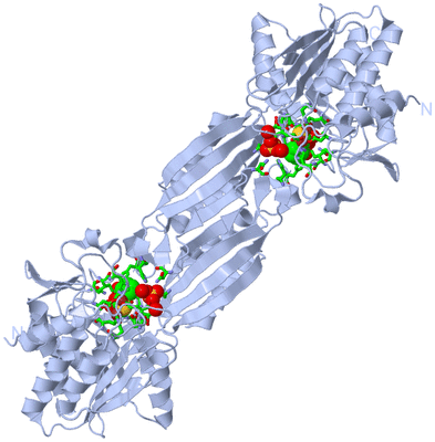 Image Biol. Unit 1 - sites