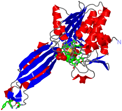 Image Asym. Unit - sites