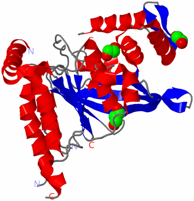 Image Asym./Biol. Unit