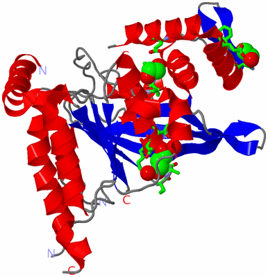 Image Asym./Biol. Unit - sites