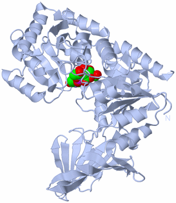 Image Biological Unit 1