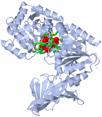 Image Biol. Unit 1 - sites