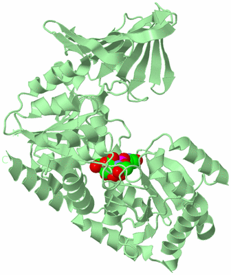 Image Biological Unit 2