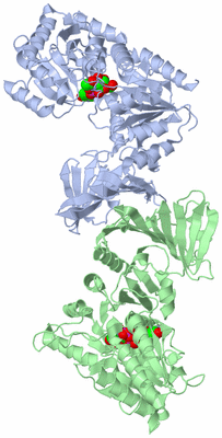 Image Biological Unit 3