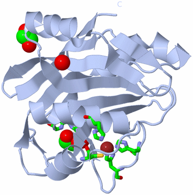 Image Biol. Unit 1 - sites