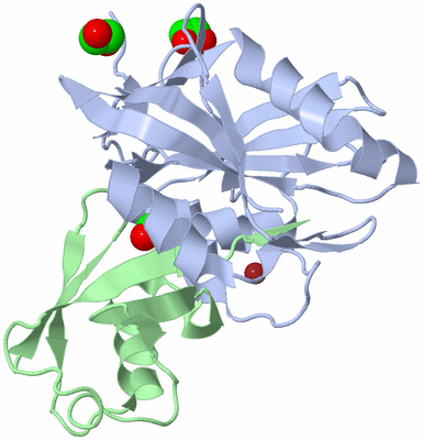 Image Biological Unit 3