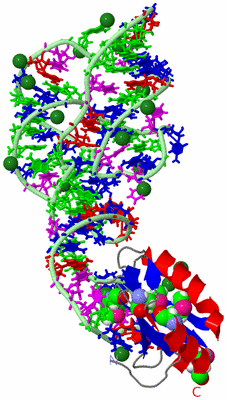 Image Asym./Biol. Unit