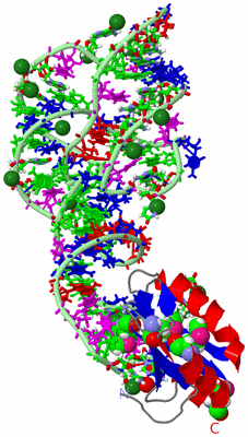 Image Asym./Biol. Unit - sites