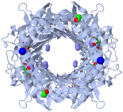 Image Biological Unit 1