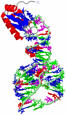 Image Asym./Biol. Unit