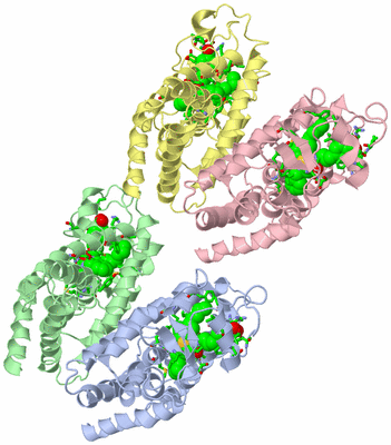 Image Asym./Biol. Unit - sites